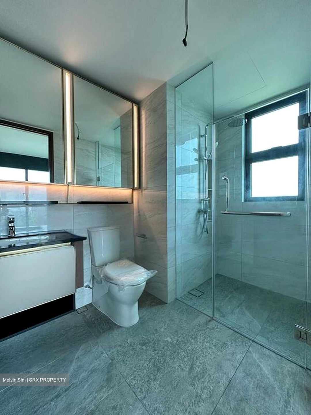 Normanton Park (D5), Apartment #484660131